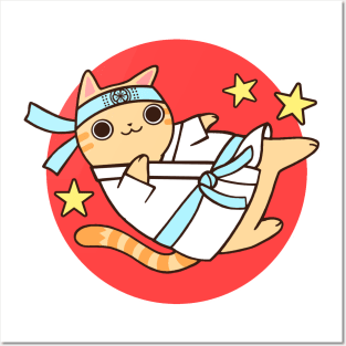 Karate Cat Posters and Art